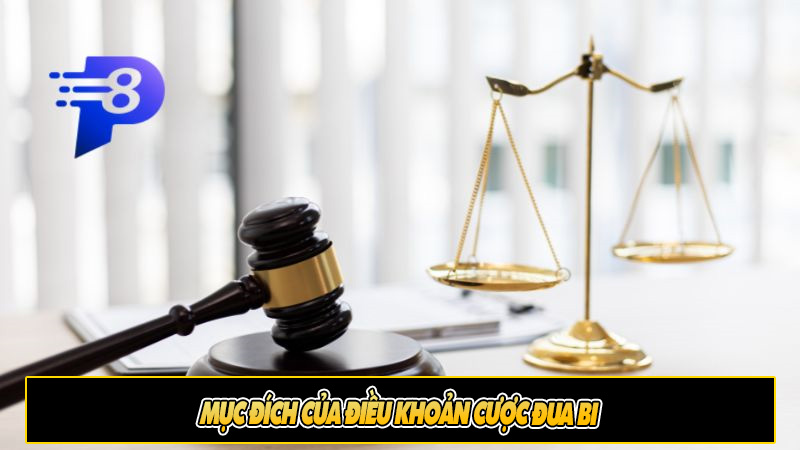 Mục Đích Của Điều Khoản Cược Đua Bi